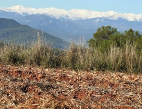 V Jornada anual de sòls: eines per afrontar el canvi climàtic als Pirineus